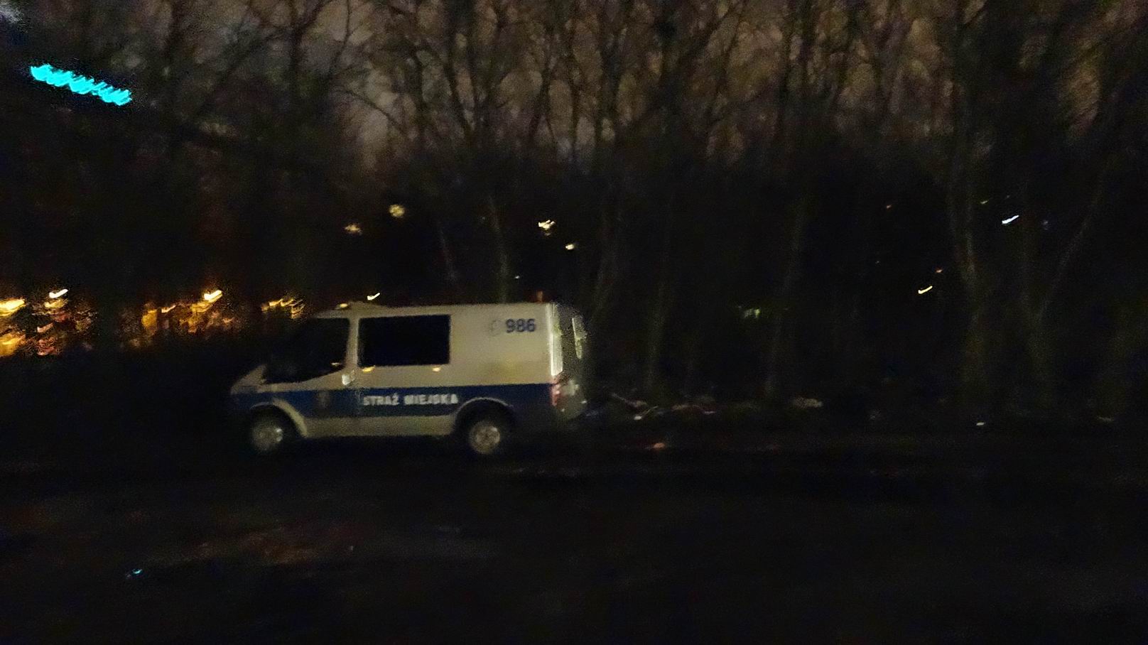 Bezdomni lasek 3 Fundacja Ja Jestem