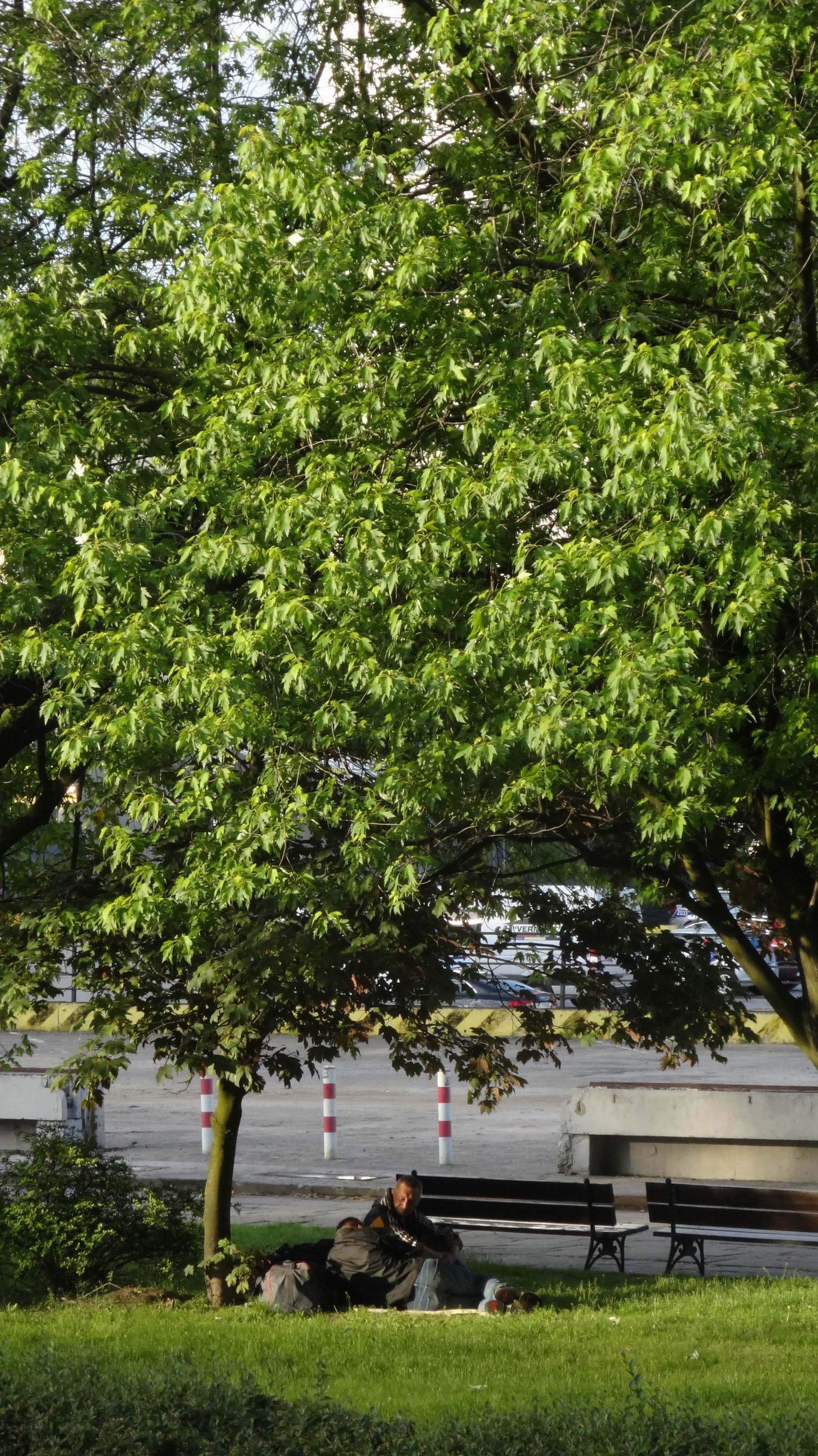 Wyjscie 6 25 05 2016 Fundacja Ja Jestem